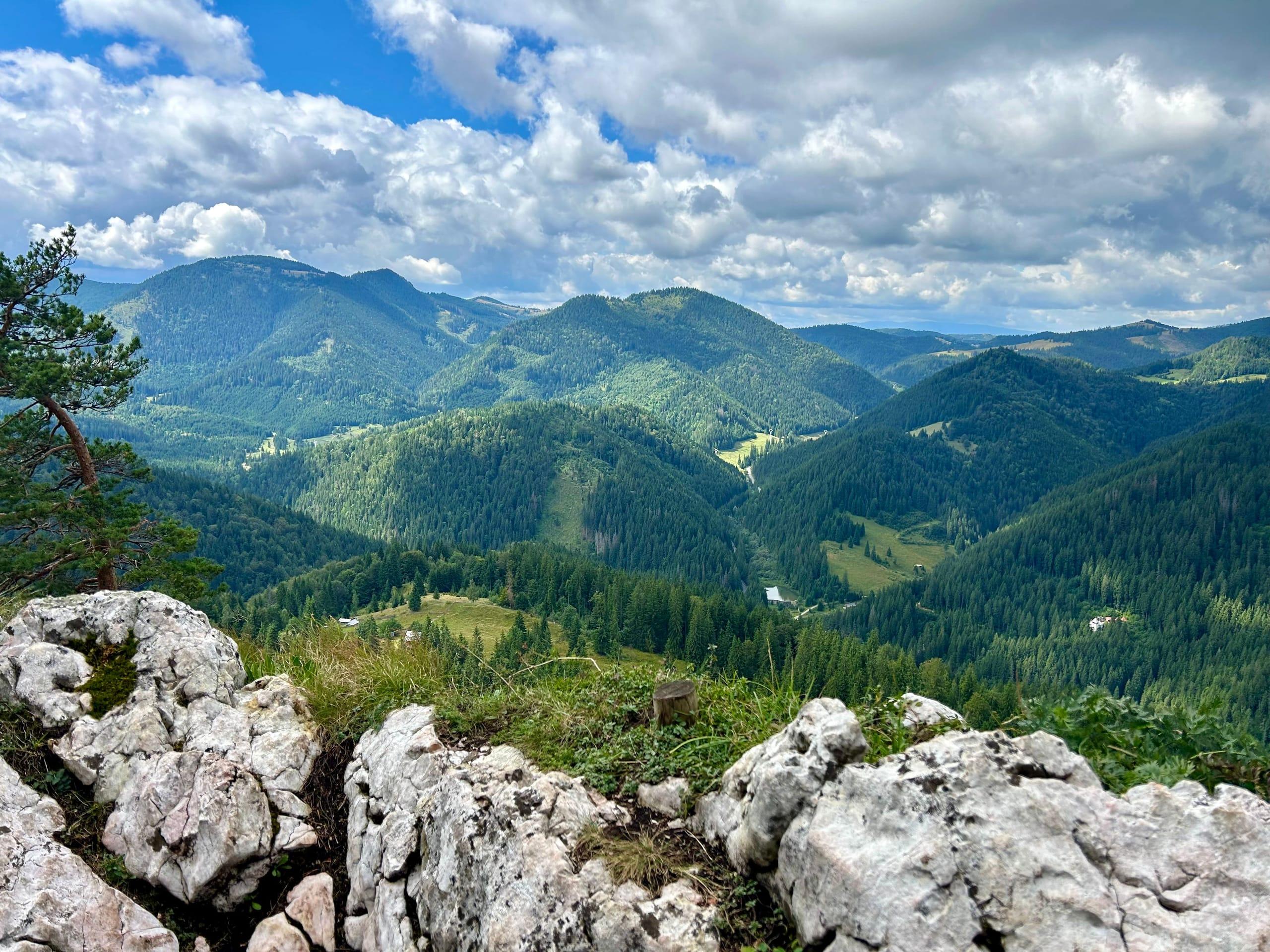 Early summer, once the lower slopes finally clear of snow.