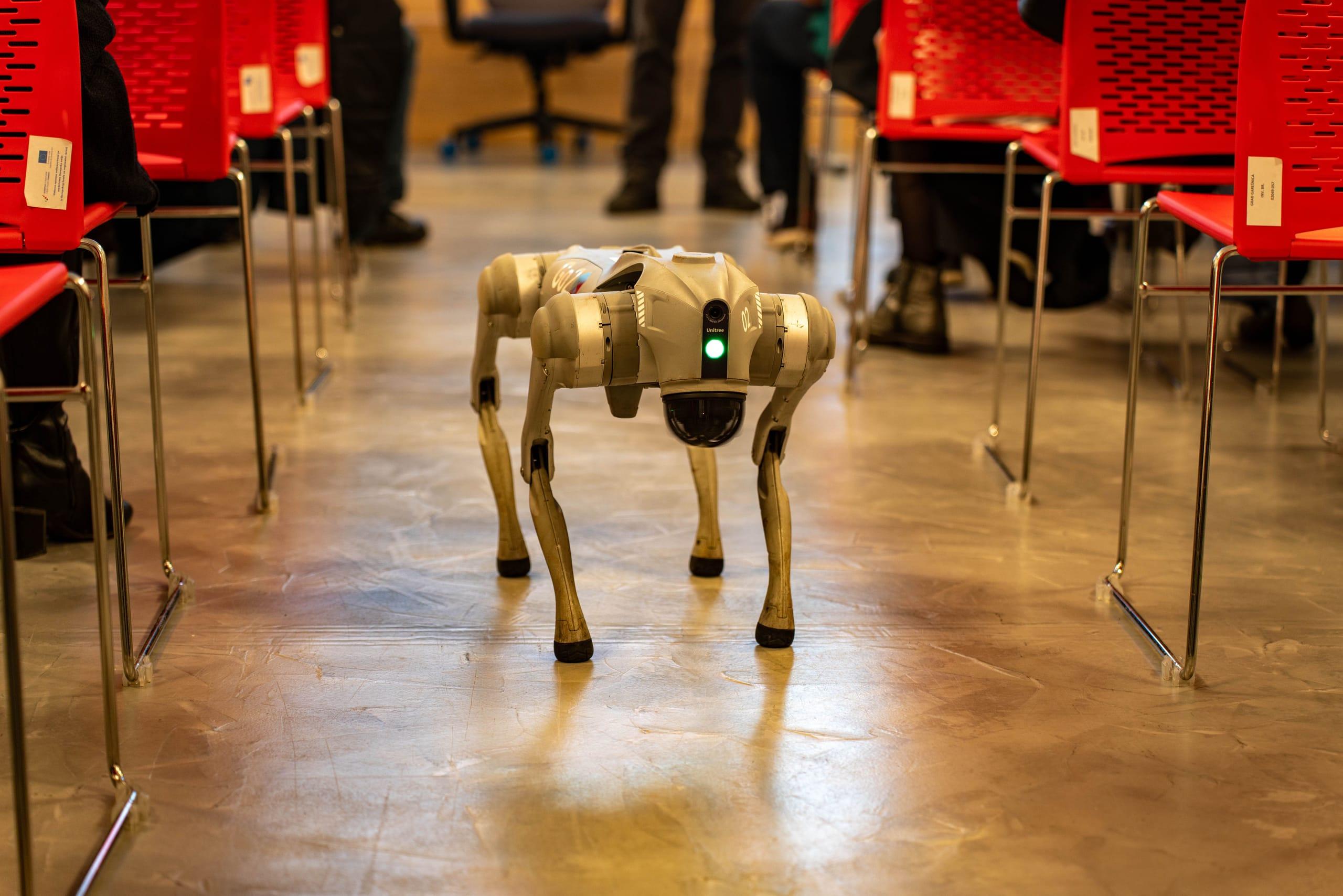 A Rex unit pausing mid-patrol in a client lobby.